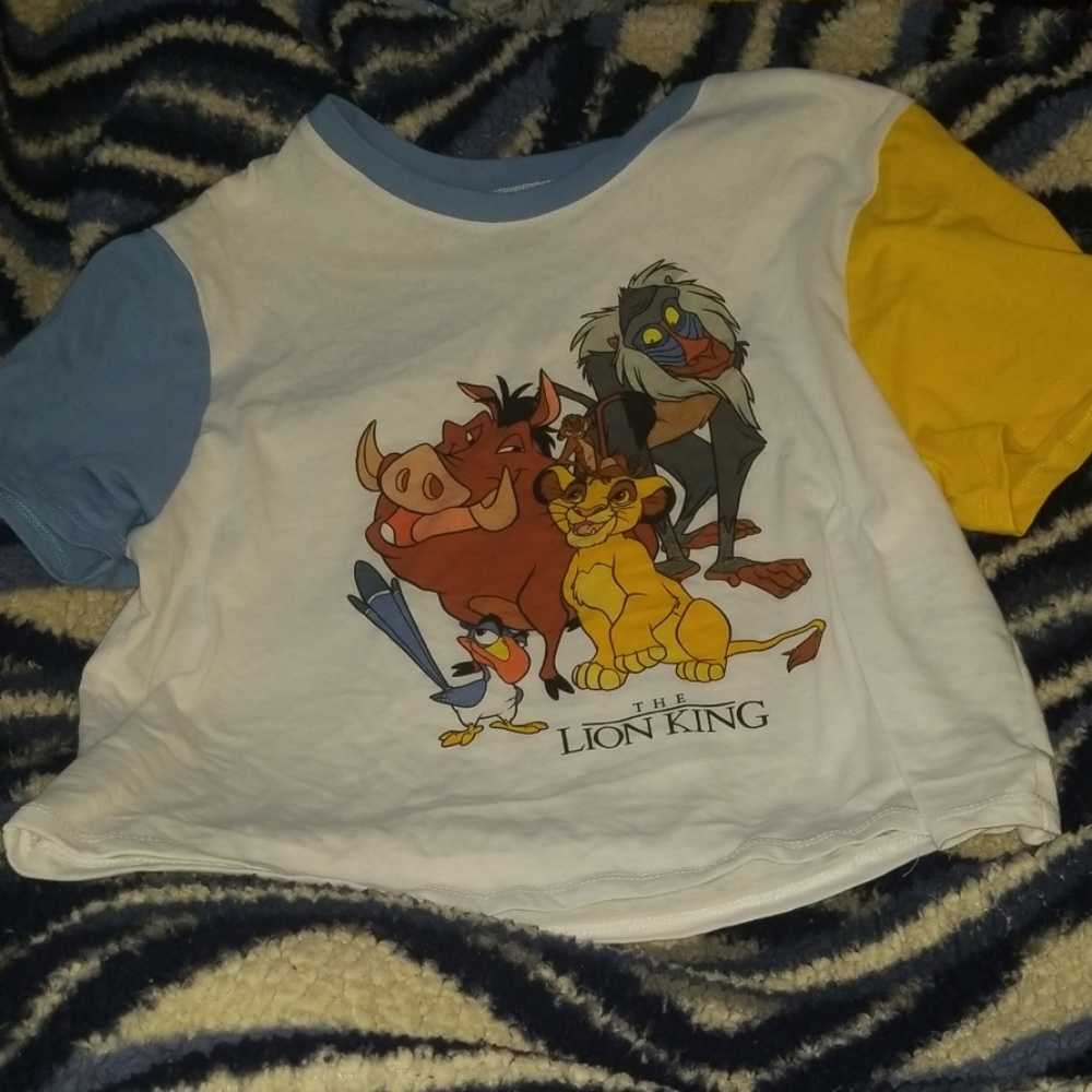 Disney lion king cropped top large